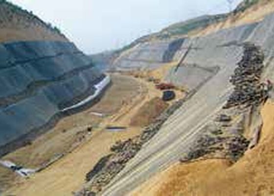 8 मीटर Geomembrane पनरोक पीई TPO ईवा पीवीसी शीट बाहर निकालना लाइनों